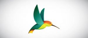 الگوریتم مرغ مگس خوار چیست و چگونه بر سئو تاثیر می گذارد؟